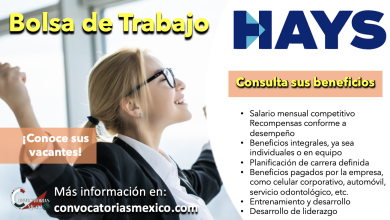 ¡Es momento! Conoce ahora la bolsa de trabajo de “HAYS” y comienza tu carrera profesional con ellos