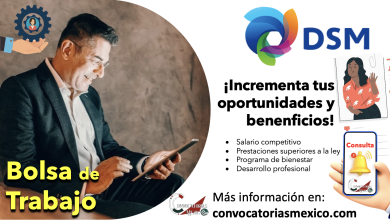 ¡Excelentes ofertas de trabajo en “DSM”! ¡Consulta y aplica ahora!
