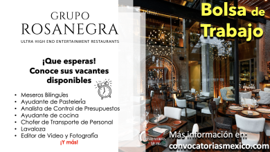 ¡Forma parte de un equipo internacional! Consulta la bolsa de trabajo de “Grupo RosaNegra” y postúlate a una de sus vacantes disponibles