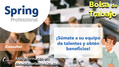 ¡Forma parte de un increíble equipo! Consulta la bolsa de trabajo de “Spring Professional” y consigue una nueva oportunidad