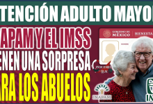 ¡INAPAM y el IMSS sorprenden a los abuelos con aventuras inolvidables! Disfruta de grandes descuentos en este día especial