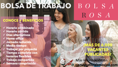 ¡INGRESA AHORA! ENCUENTRA NUEVAS OPORTUNIDADES EN LA BOLSA DE TRABAJO ROSA PARA MUJERES ¡MÁS DE 6,000 VACANTES PUBLICADAS!