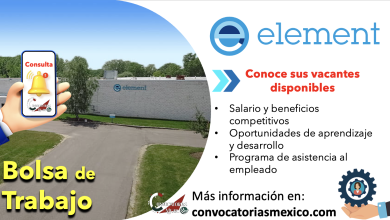 ¡Las mejores oportunidades! Consulta la bolsa de trabajo de “Element” y forma parte de su increíble equipo