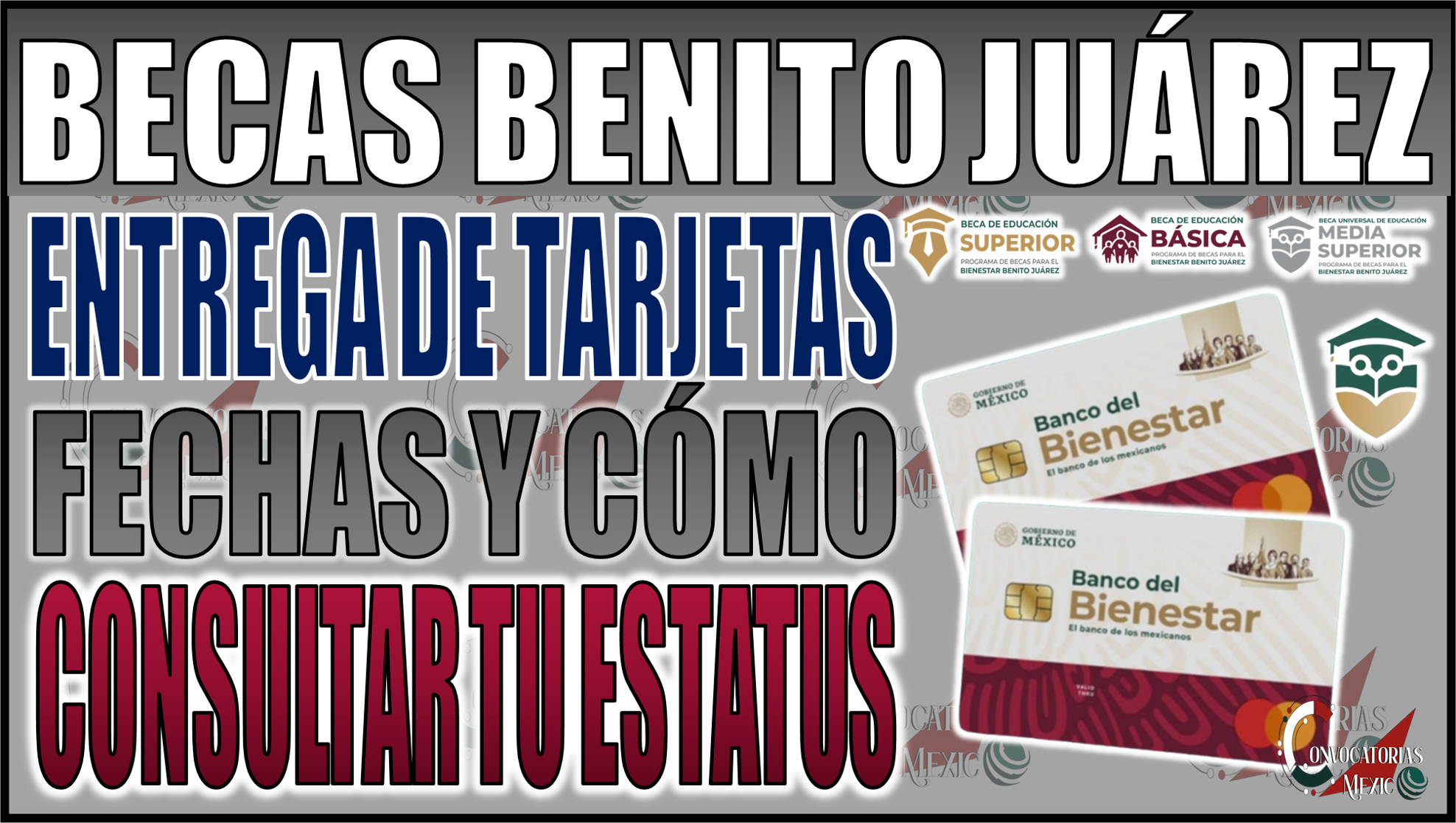 ¡No te lo pierdas! Entrega de tarjetas Becas Benito Juárez 2024: Fechas y cómo consultar tu estatus