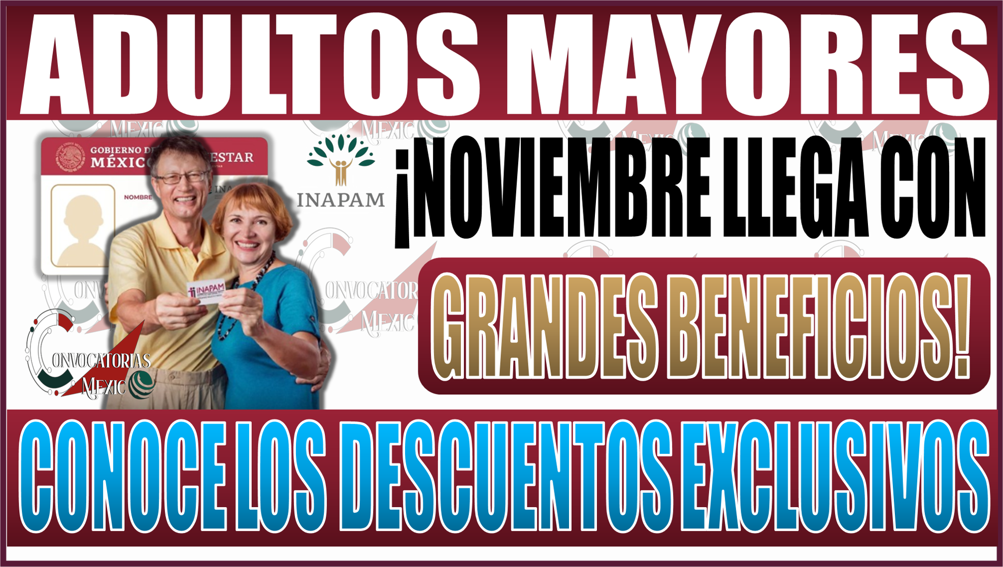 ¡Noviembre llega con grandes beneficios para Adultos Mayores! Increíbles descuentos con la tarjeta INAPAM