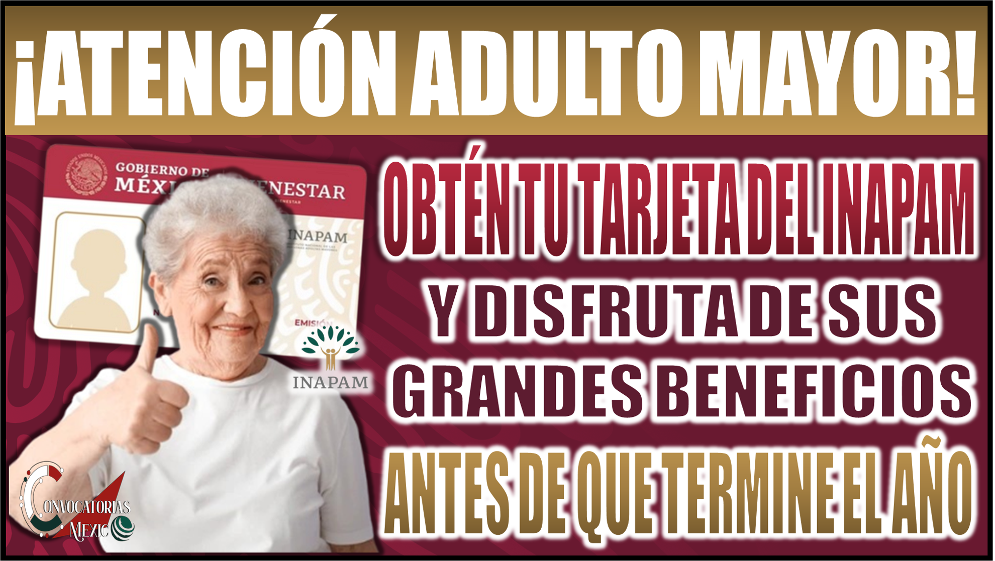 ¡Obtén tu tarjeta INAPAM y disfruta grandes beneficios antes de que termine el 2024!