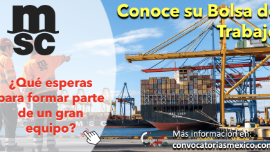 ¡Oportunidades que no te puedes perder! Consulta la bolsa de trabajo de “Mediterranean Shipping Company México” y conoce sus vacantes