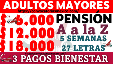 ¡PAGOS de 6 mil, 12 mil y 18 mil pesos Adultos Mayores 65 y Más Pensión Bienestar! ¡Aviso Bienestar de PAGO NORMAL, PAGO DOBLE Y PAGO TRIPLE! Ariadna Montiel Reyes y Secretaría del Bienestar
