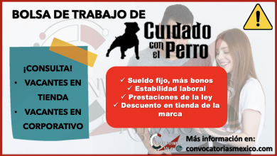 ¡Postúlate! Ingresa a la bolsa de trabajo de “CUIDADO CON EL PERRO” y conoce las vacantes disponibles