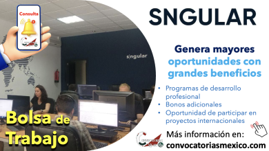 ¡Que esperas para ser parte del equipo de trabajo de “SNGULAR”! Conoce sus múltiples ofertas de empleo disponibles