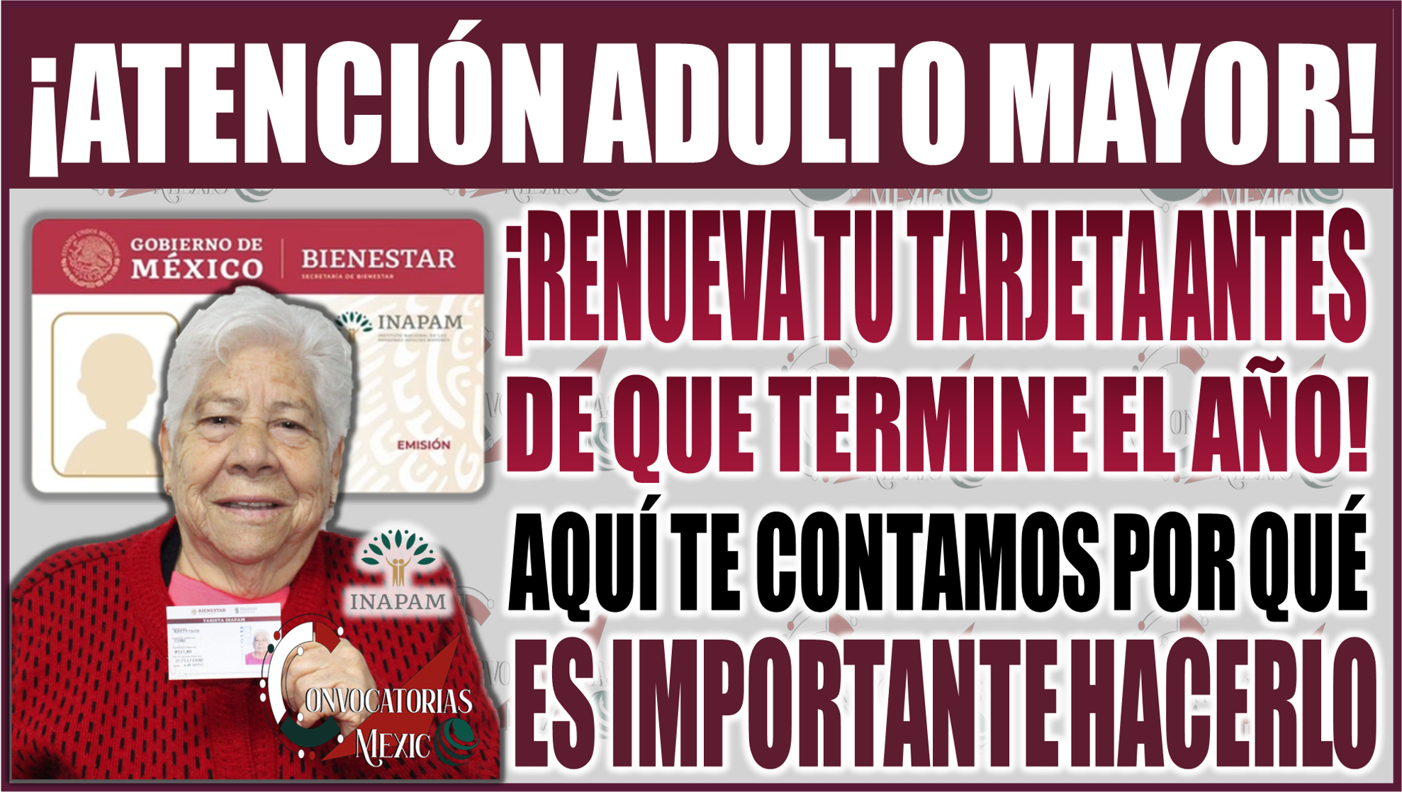 ¡Renueva tu tarjeta INAPAM antes de que termine el 2024 y sigue disfrutando de grandes beneficios! Aquí te contamos por qué es esencial