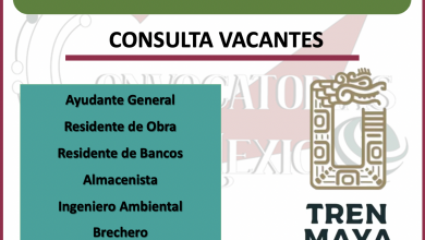 ¡SUMATE AL EQUIPO! Ingresa a la Bolsa de Trabajo del Tren Maya y consulta las vacantes.