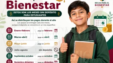 ¡Sin depósitos! Consulta por que en estos meses no se pagan las Becas del Bienestar