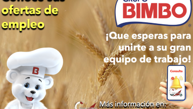 ¡Suma tu talento a “Grupo Bimbo”! ¡Conoce sus múltiples ofertas de empleo y postúlate!
