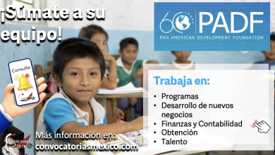 ¡Suma tu talento a la “Fundación Panamericana para el Desarrollo”! Conoce sus vacantes disponibles y crea una nueva experiencia de desarrollo