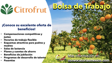 ¡Súmate a su equipo de talentos! Consulta la bolsa de trabajo de “Citrofrut” y comienza a obtener beneficios