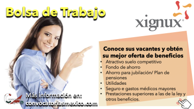 ¡Súmate a su equipo! Conoce la bolsa de trabajo de “Xignux” y obtén los mejores beneficios del mercado