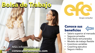 ¡Súmate al equipo de “Grupo Consultor efe”! Conoce las ofertas de trabajo que esta Firma emprendedora tiene para ti