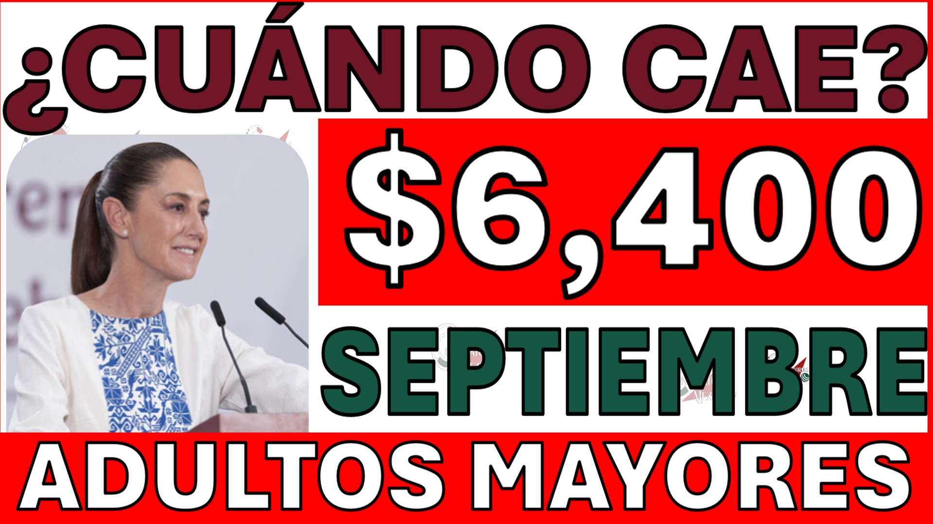 ¡Toda la VERDAD para Adultos Mayores!