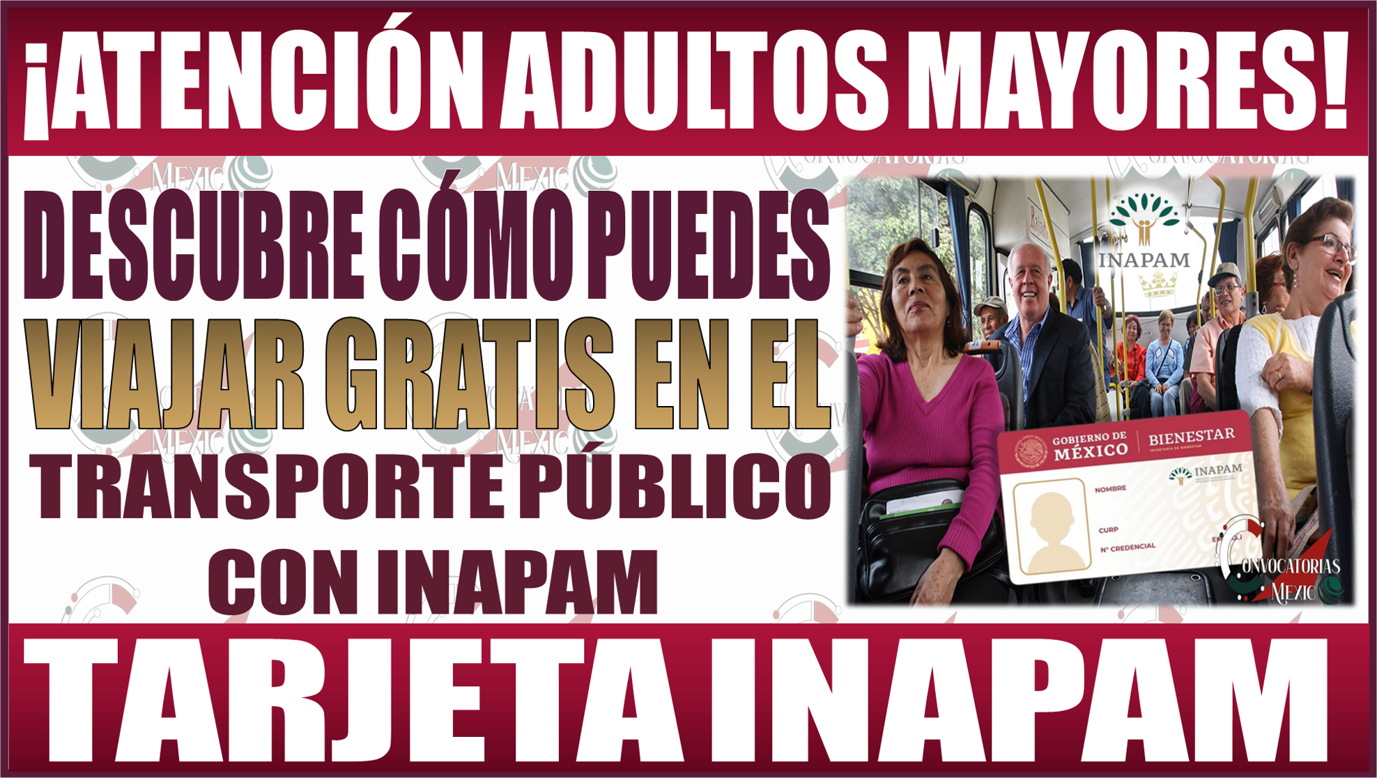 ¡Transporte gratis para beneficiarios del INAPAM! Descubre cómo los Adultos Mayores pueden viajar sin costos