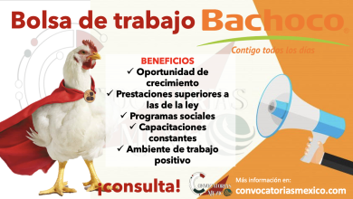 ¡Únete al equipo de trabajo de Bachoco! Ingresa a su bolsa de trabajo y consigue un empleo