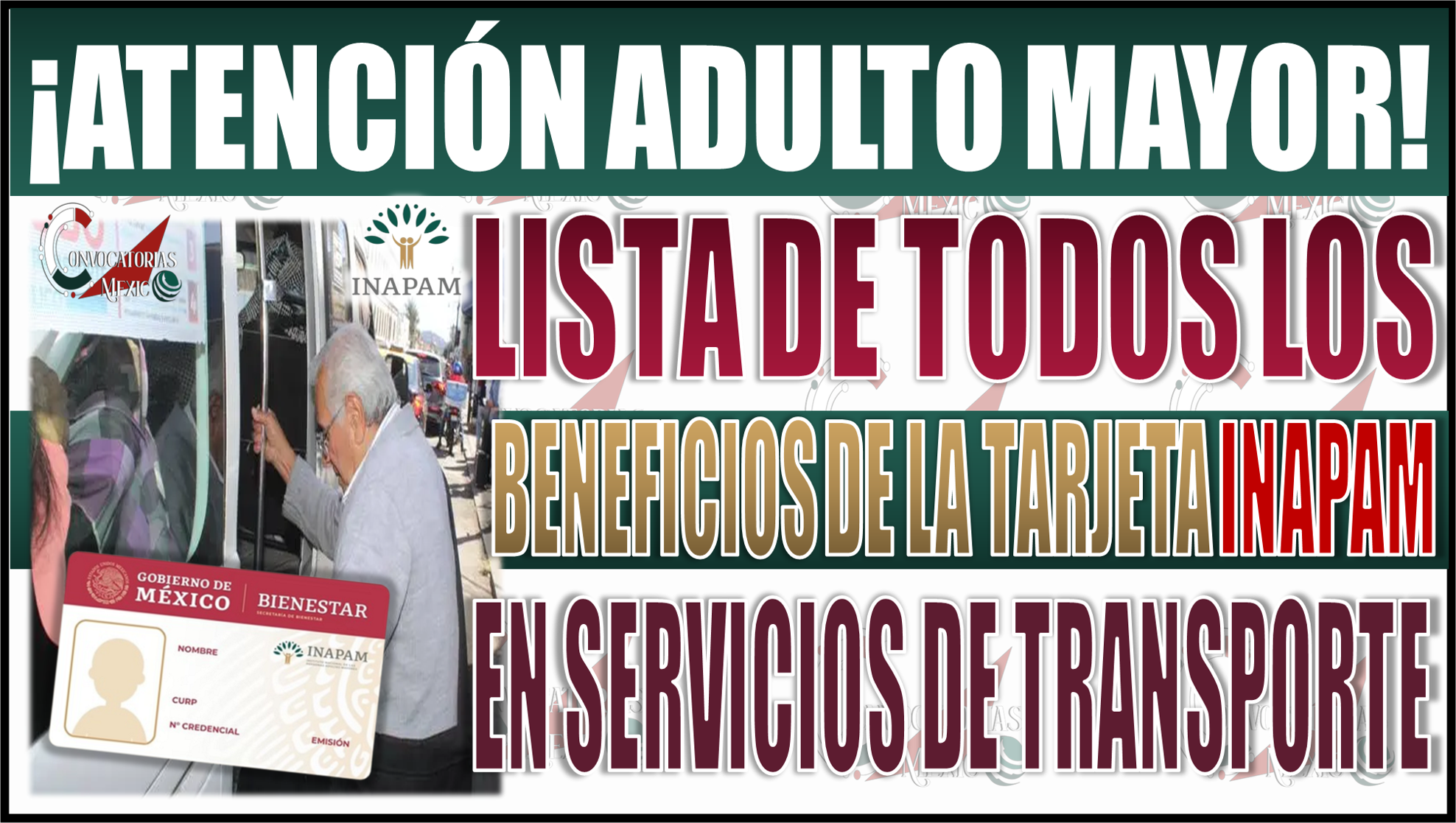 ¡Viaja gratis! Descubre la lista de todos los beneficios de la tarjeta INAPAM en servicios de transporte