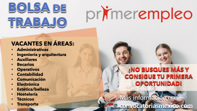 ¿BUSCAS TU PRIMER EMPLEO? DESCUBRE LAS OPORTUNIDADES QUE ESTA BOLSA DE EMPLEO TIENE PARA TI ¡CONSULTA AHORA!