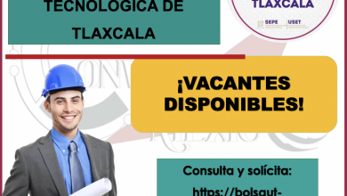 ¿Buscas empleo y no sabes dónde? ¡La Universidad Tecnológica de Tlaxcala te ayuda a encontrar trabajo!