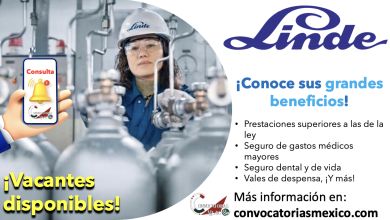 ¿Buscas trabajo? Entérate de las vacantes disponibles que “Linde” tiene para ti